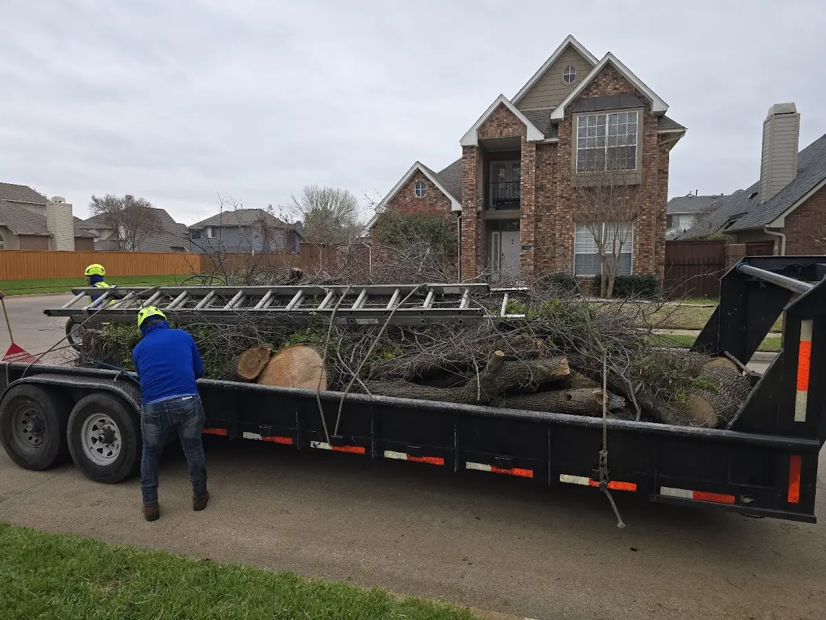 Expert Tree Removal with proper safety equipment in Ruth